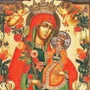 Дева Мария "Несъществуващ цвят". Значение на иконата и нейната история