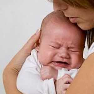 Дали болки в корема или Колко често може да дадете на Ескуизан новородено