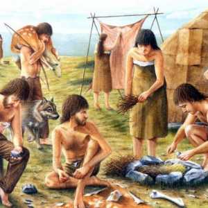 Ботайската култура е археологическата култура на енеолита. Доминикация на кон