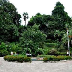 Ботаническата градина на Батуми. Зеленият Кейп