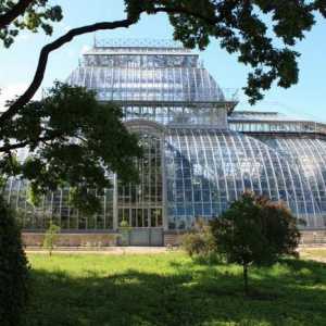 Ботаническата градина на Петър Велики в Санкт Петербург: история, адрес и снимка