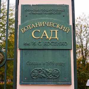 Ботаническата градина в Краснодар: история, описание, снимка
