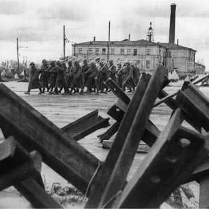 Общи гробове в района на Ленинград - списъци и снимки