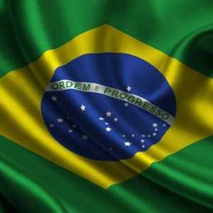 Бразилско знаме: общо описание, символизъм и история на външния вид