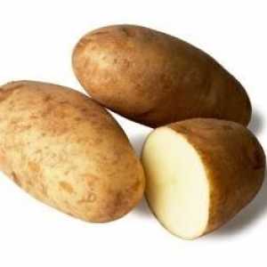 `Breeze` - картофи с висока производителност с отлични вкусови качества
