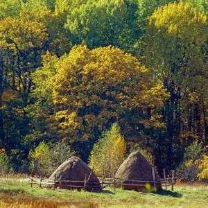 "Брянска гора" е биосферен резерват под егидата на ЮНЕСКО