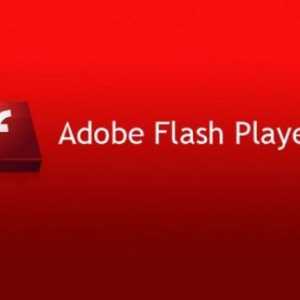 Приставки за браузъри: Adobe Flash Player. Активиране, актуализиране, изтриване - как?