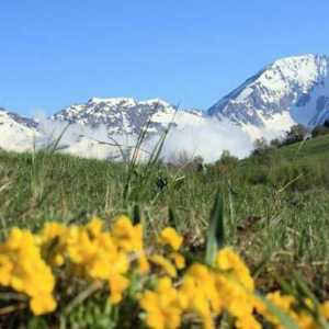 Цачуа е най-високата планина в територията Краснодар