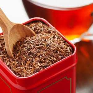 Чай Rooibos: Добър и лош. Състав и свойства на Rooibos чай