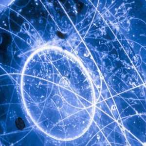 Частици на неутрино: дефиниция, свойства, описание. Колебанията на неутрино са ...