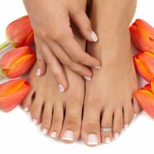 Какво е лечението на гъбичките на ноктите на краката на къщата и с помощта на медикаменти?