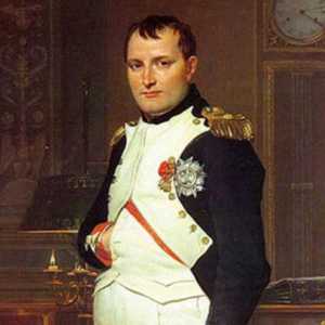 Как можем да обясним многонационалния състав на армията на Наполеон: причини и последици