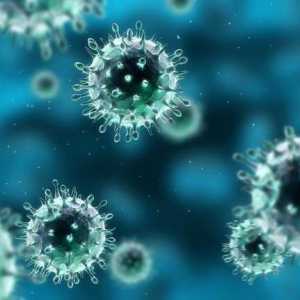 Какъв е рискът от ентеровирусна инфекция при възрастни?