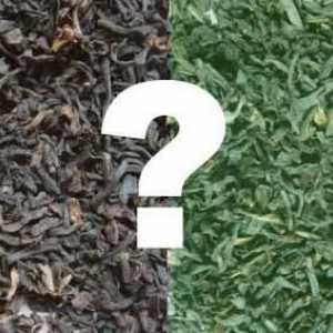 Какъв зелен чай се различава от черното: полезни свойства, характеристики на събирането и…