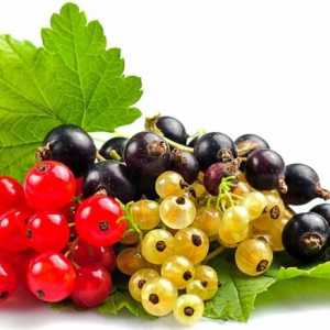 Черно и червено френско грозде, отколкото е полезно?