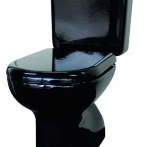 Черна тоалетна тоалетна: снимка, предимства и недостатъци, опции за баня