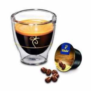 `Cibo` кафе: описание и отзиви