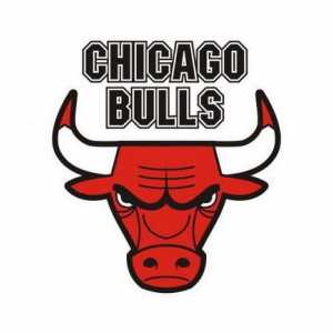 "Чикаго бикове": история, традиции, композиция