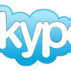 Какво трябва да направя, ако Skype не е инсталиран на Windows 7?