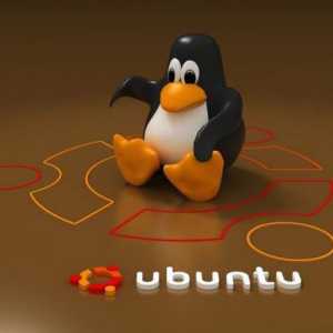 Кое е по-добре - Xubuntu или Lubuntu? Експертни отзиви