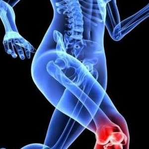 Какво може да означава болката в коляното отвътре?