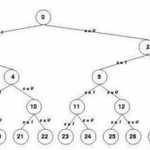 Какво представлява алгоритъм с разклоняване? Примери и дефиниция на алгоритми за разклоняване