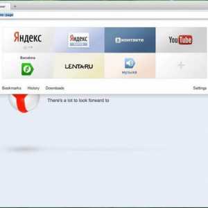 Какво представлява "Antishock" в браузъра от "Yandex"?