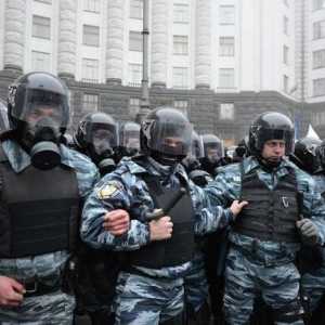 Какво е Berkut? Какво направи "Златните орли" в EuroMaidan?