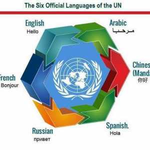 Какъв е официалният език? Държавните езици на държавите