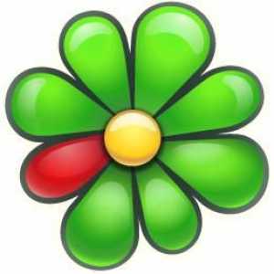 Какво представлява ICQ? Как да инсталирате ICQ за Windows или Android
