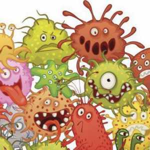 Какво представлява инфекцията: определение, характеристики и видове