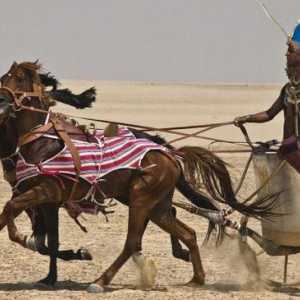 Какво е "колесникът" и каква е неговата роля в живота на древните народи?