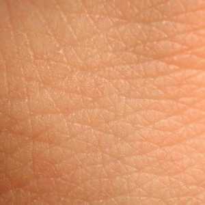 Какво е кожата и нейното значение за човешкото тяло