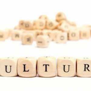 Какво е културология? Връзката на културологията с други науки