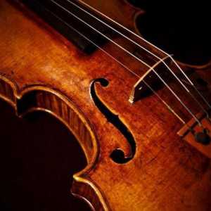 Какво е цигулка? Структурата и функциите на цигулката