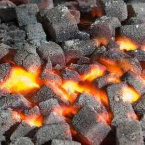 Какво представляват въглищата и какви са те?