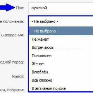 Какво е "VKontakte" SP и как да го инсталирате