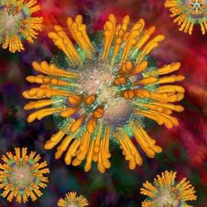 Какво не открива "РНК на вируса на хепатит С"? Анализ на РНК на вируса на хепатит С