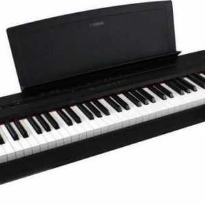Цифров пиано Yamaha P 35: спецификации, отзиви, снимка