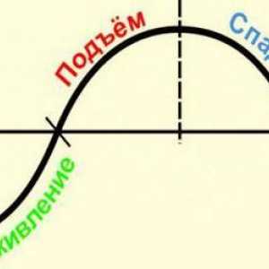 Цицинският цикъл. Краткосрочни икономически цикли. Цикълът на Юглиар. Цикълът на ковача