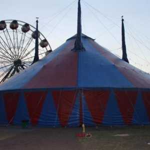 Circus on Dybenko - забавление за деца и възрастни