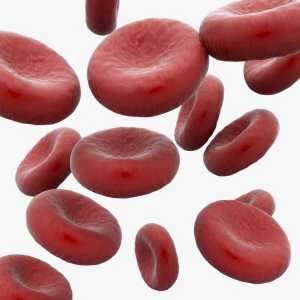 Индекс на цвета на кръвта: концепция, изчисление и тълкуване на резултатите