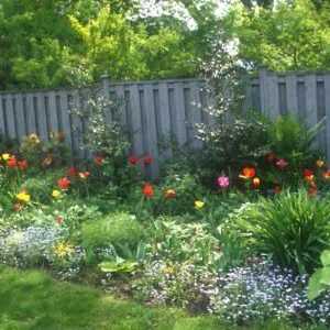 Градински цветя: трайни насаждения за летни къщички и цветни лехи