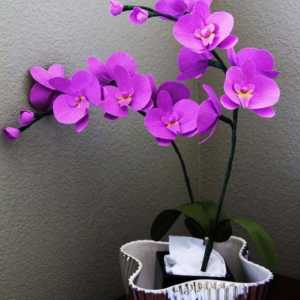 Цветя със собствени ръце: орхидея от гофрирана хартия