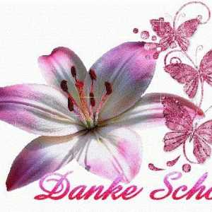 "Danke shon": превод от немски език и примери за използване