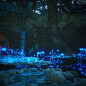 Dark Souls 2, Храмът на Амана: описание и преминаване на мястото