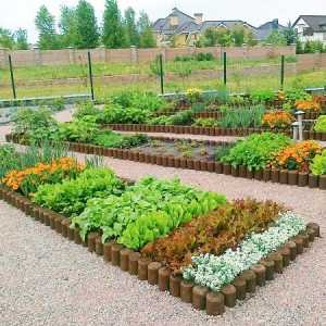 Декоративна градина в ландшафтен дизайн със собствените си ръце