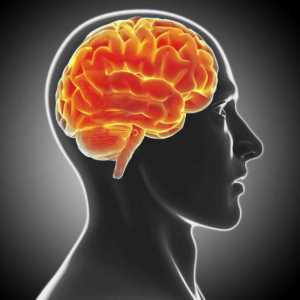Демиелинизиращо мозъчно заболяване: лечение, прогнози, симптоми