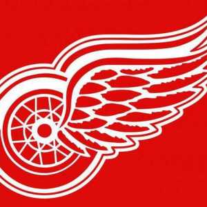 `Detroit` - хокей клуб: играчи, постижения