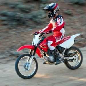 Детски мотоциклети на бензин: мини-кръстове, спортове (снимка)